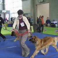 Salzburg Clubschau Mai 06 138 